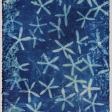 Original Cyanotype on Paper 11x30"