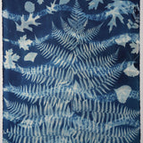 Original Cyanotype on Paper 22 x 30"