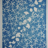 Original Cyanotype on Paper 22 x 30"