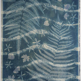 Original Cyanotype on Paper 22 x 30"