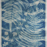 Original Cyanotype on Paper 22 x 30"