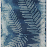 Original Cyanotype on Paper 11x30"