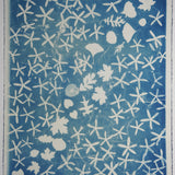 Original Cyanotype on Paper 22 x 30"