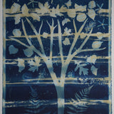 Original Cyanotype on Paper 22 x 30"