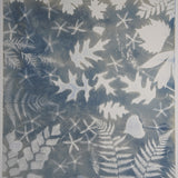 Original Cyanotype on Paper 22 x 30"