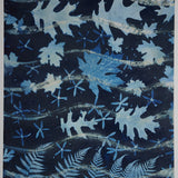 Original Cyanotype on Paper 22 x 30"