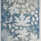 Original Cyanotype on Paper 22 x 30"