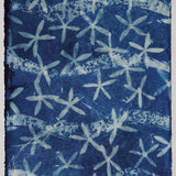 Original Cyanotype on Paper 11x30"