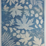 Original Cyanotype on Paper 22 x 30"