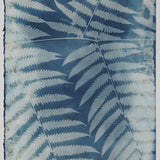 Original Cyanotype on Paper 11x30"