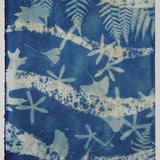 Original Cyanotype on Paper 11x30"