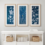 Original Cyanotype on Paper 11x30"