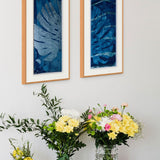 Cyanotype on Paper 11x30"