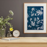 Original Cyanotype on Paper 15 x 22"