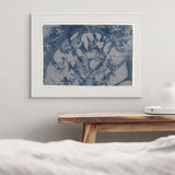 Original Cyanotype on Paper 15 x 22"